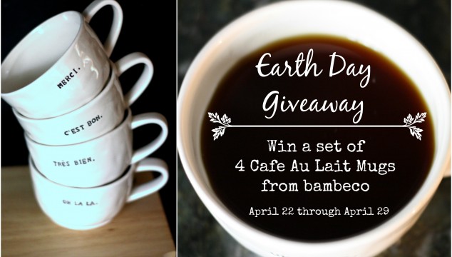 Earth Day Giveaway from Designer Trapped in a Lawyer's Body and bambeco! #earthday #giveaway