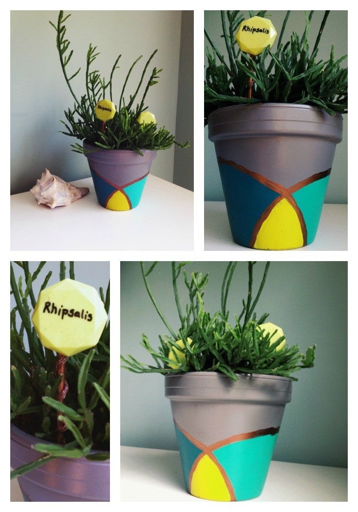 Painted Planters Inspired By Jewelry Guest Post Designer Trapped   Planted Pot Collage 