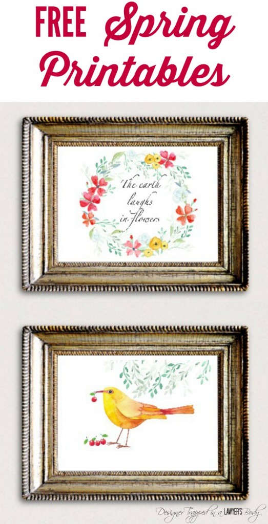 SO BEAUTIFUL! Come download these FREE Spring printables from Designer Trapped in a Lawyer's Body! They are perfect for horizontal frames. 