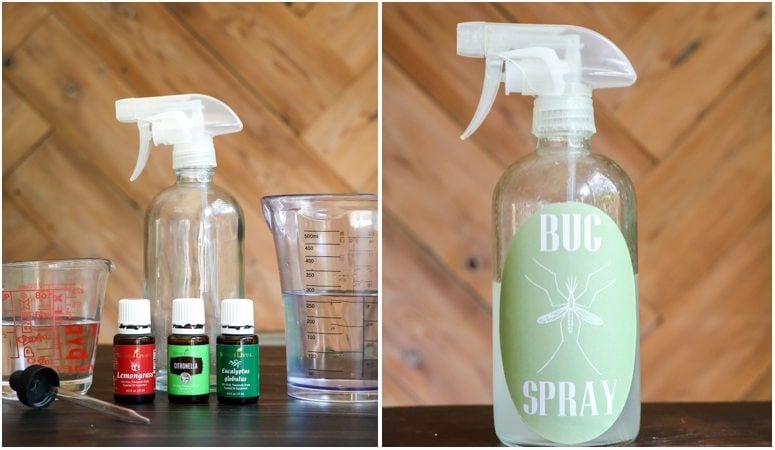 DIY Bug Spray | All Natural and Inexpensive