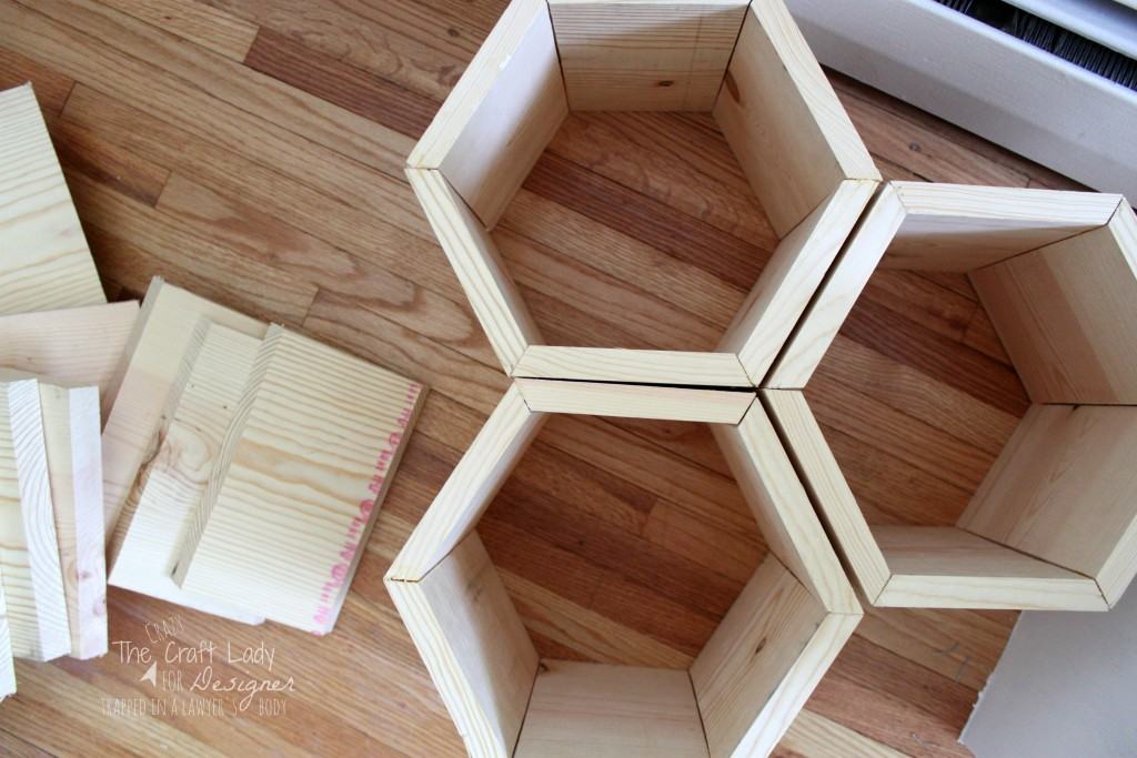 GENIUS! Make a DIY shoe rack using an old bookshelf and making hexagon inserts to hold the shoes! Full tutorial by The Crazy Craft Lady for Designer Trapped in a Lawyer's Body.