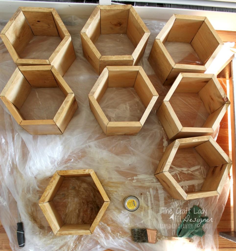 GENIUS! Make a DIY shoe rack using an old bookshelf and making hexagon inserts to hold the shoes! Full tutorial by The Crazy Craft Lady for Designer Trapped in a Lawyer's Body.