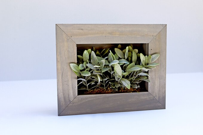Use A Stapler to Make This Picture Frame Planter DIY