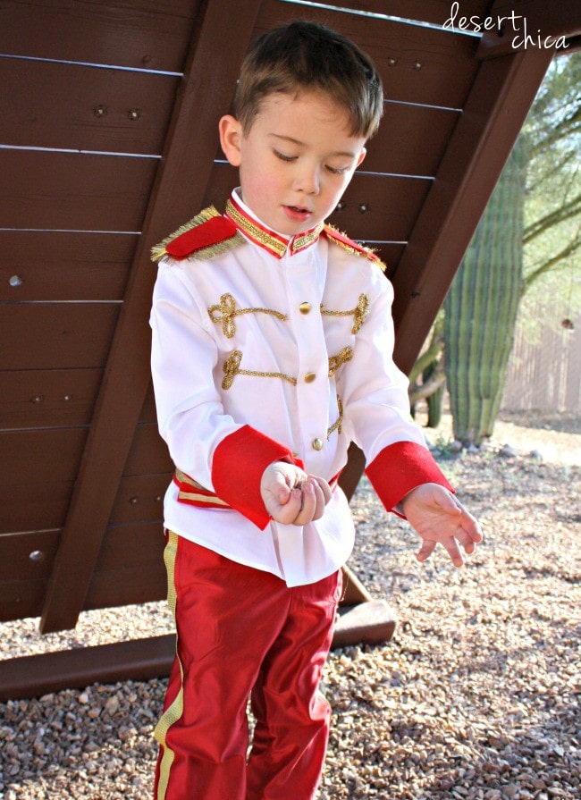 DIY Prince Charming costume