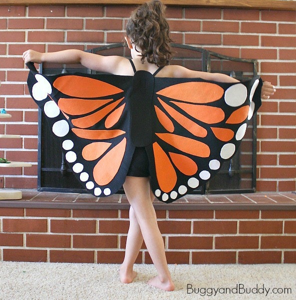 DIY butterfly wings