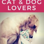 gifts for pet owners