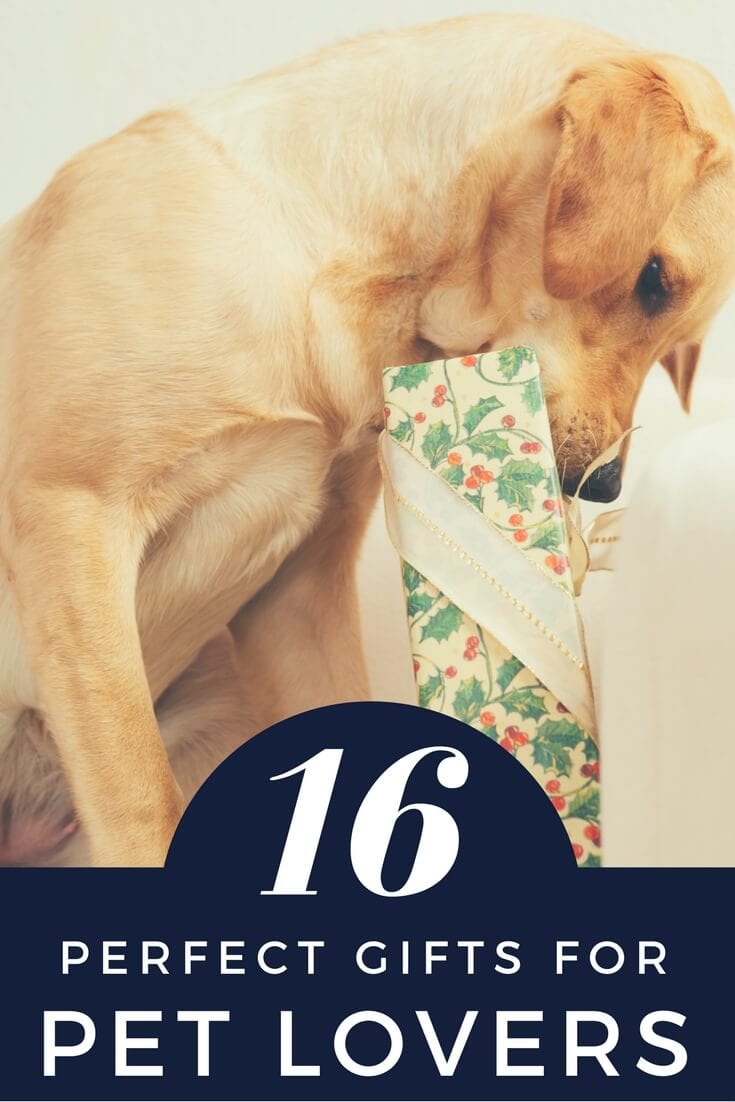 The BEST Cat & Dog Lover Gifts