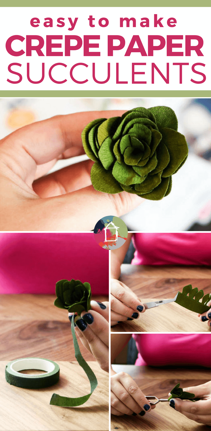 Cricut Cutting Review: DIY Crepe Paper Succulents