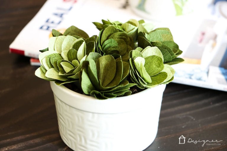 Cricut Cutting Review: DIY Crepe Paper Succulents