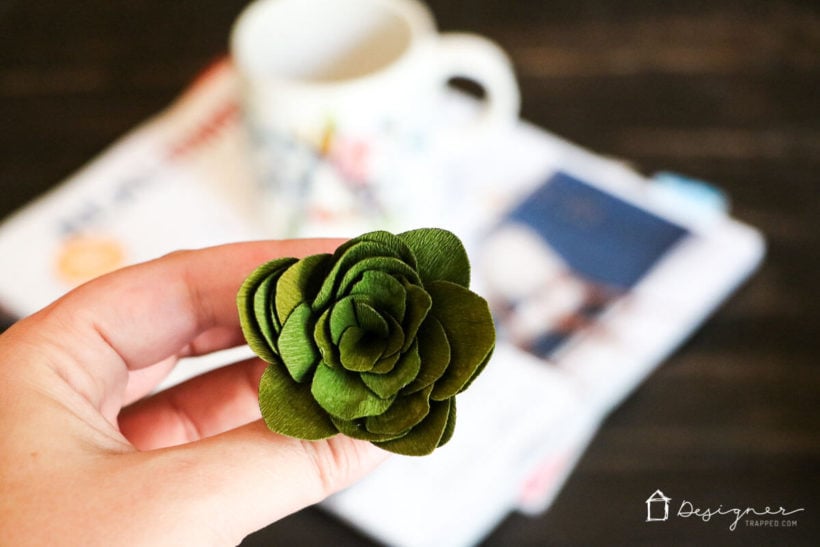 Crepe paper succulents- Cricut cutting review