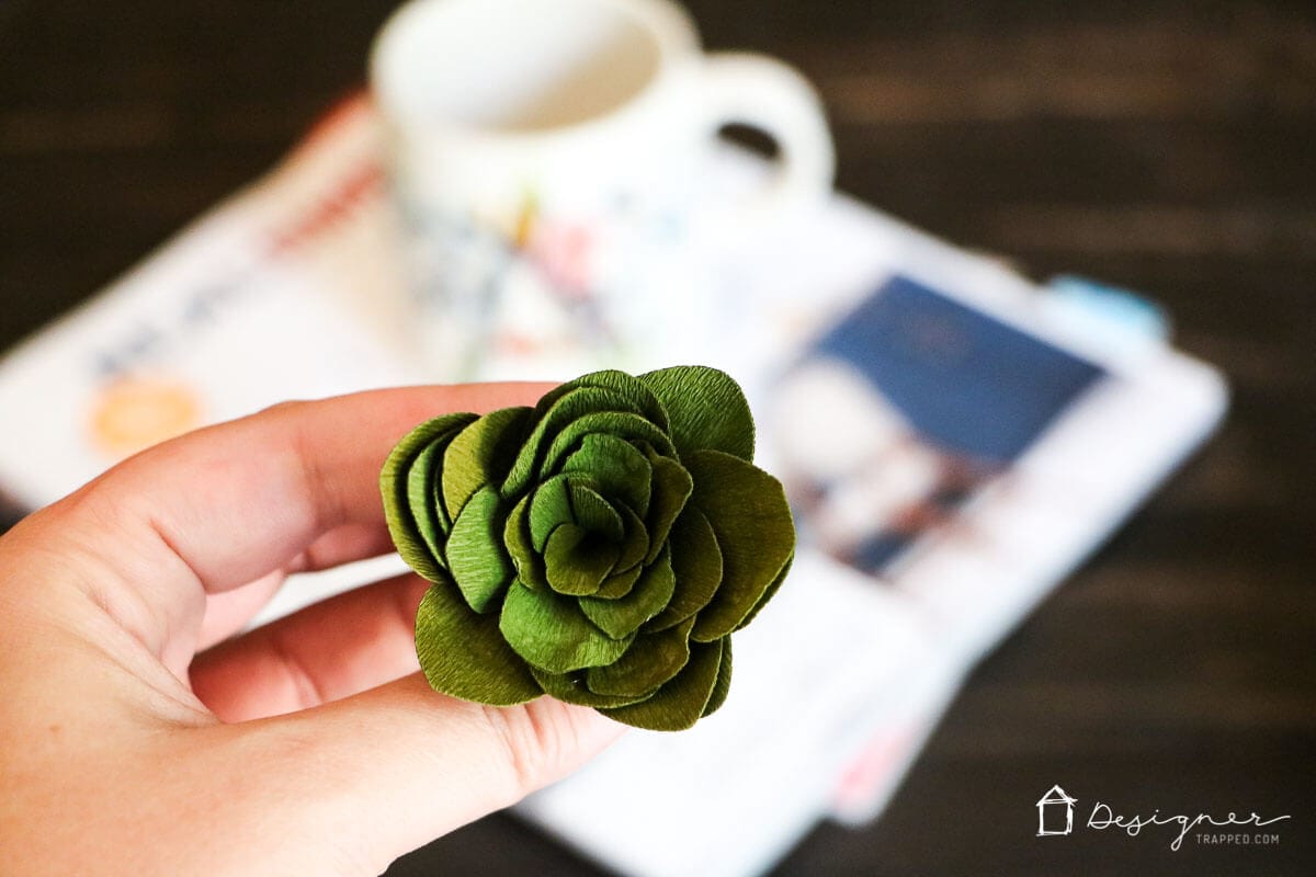 Cricut Cutting Review DIY Crepe Paper Succulents