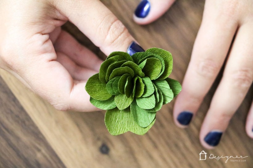 Cricut Cutting Review: DIY Crepe Paper Succulents