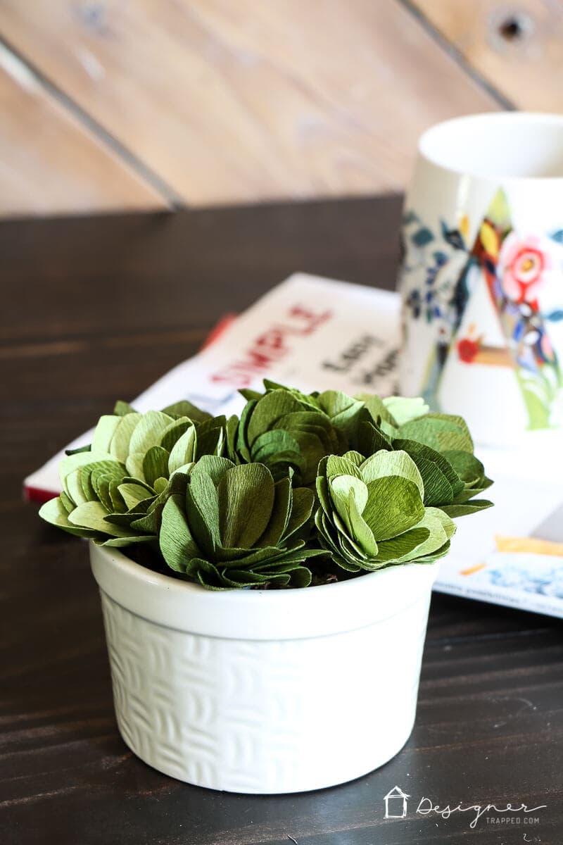 Cricut Cutting Review: DIY Crepe Paper Succulents