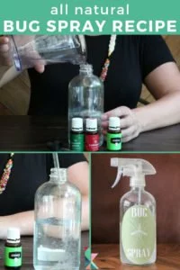 diy bug spray