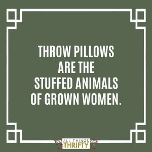 throw pillow meme