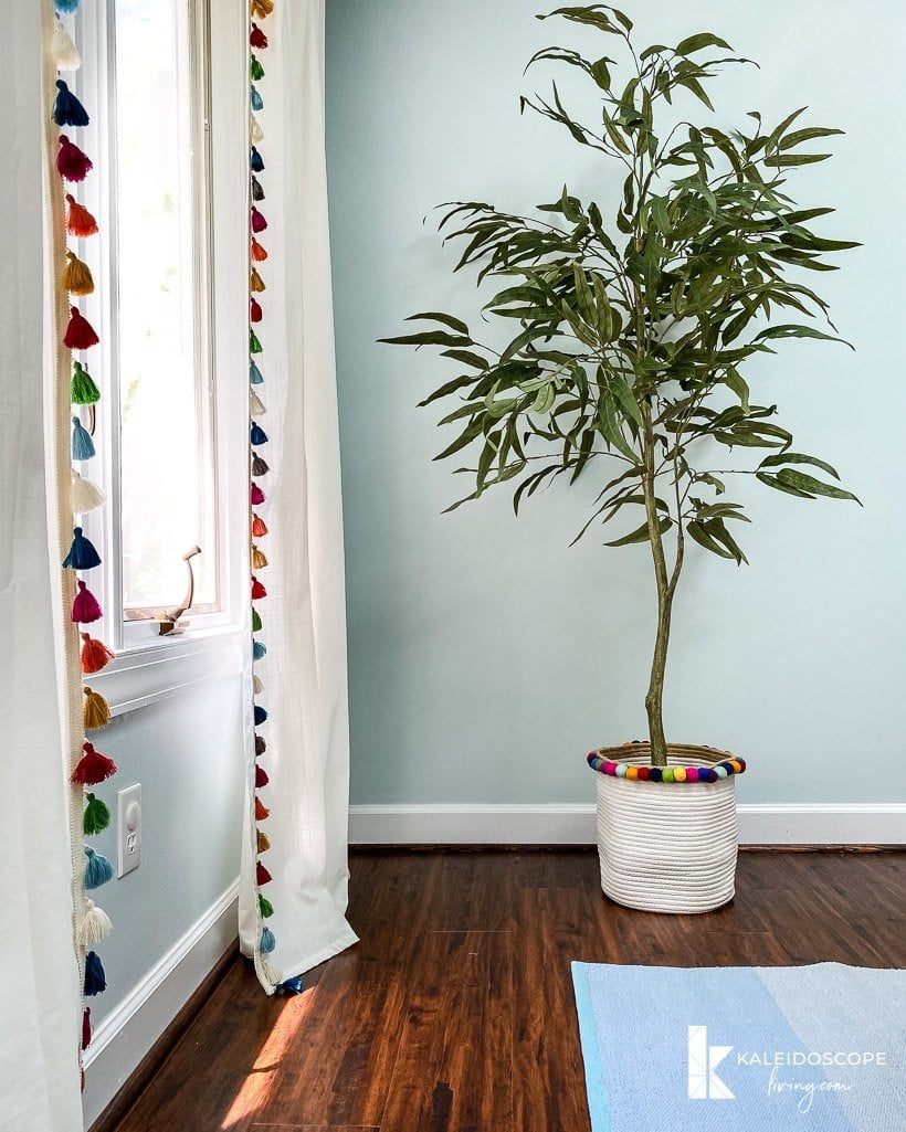 tassel curtains and plant