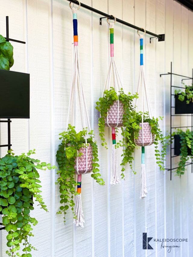 How to Make Colorful Macrame Plant Hangers