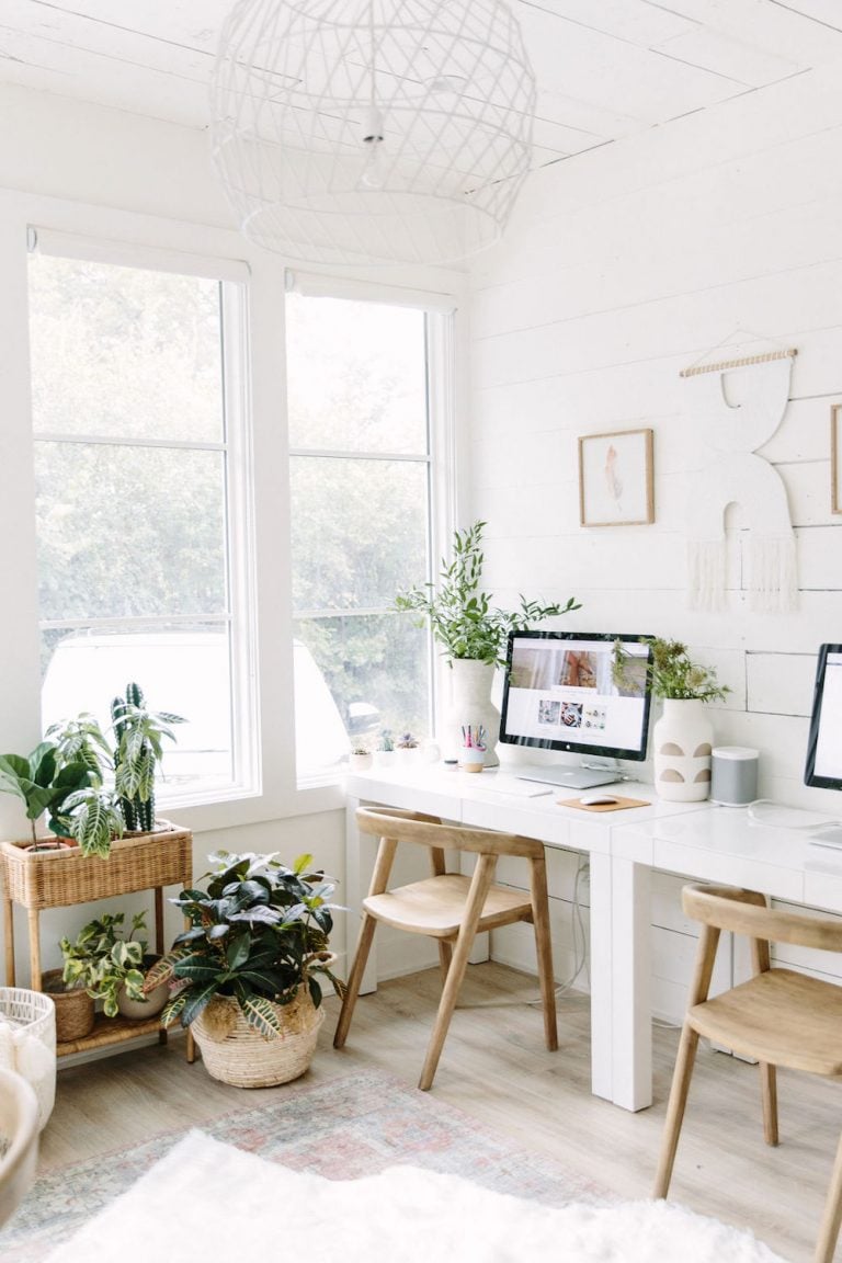 neutral office for two