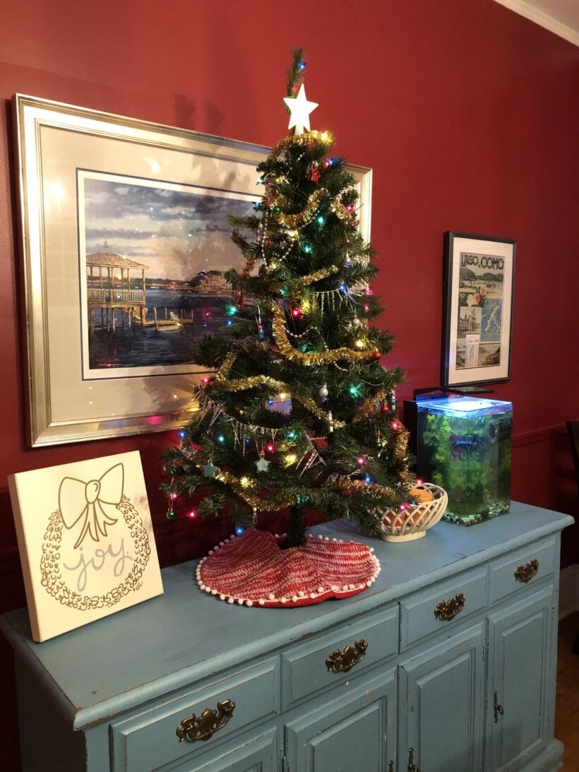 tiny Christmas tree