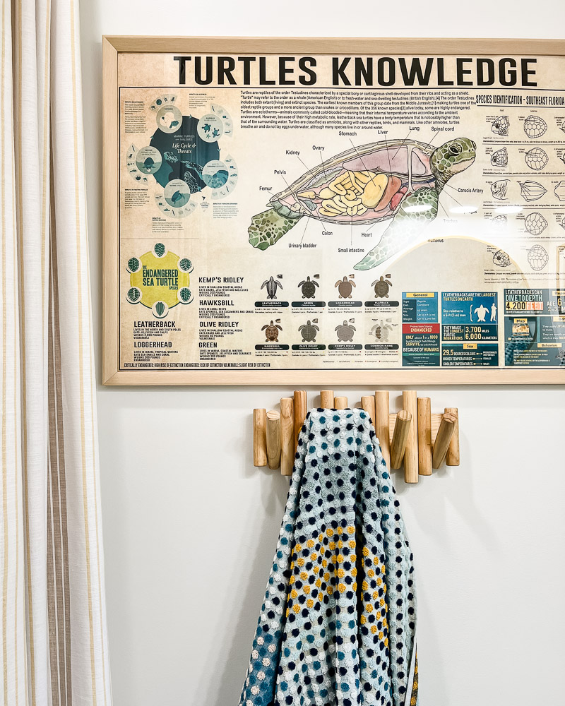 turtle poster hanging in girls's blue and green bathroom