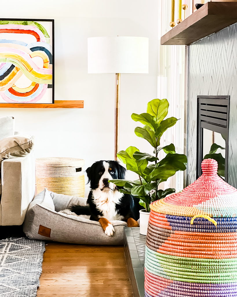 clutter-free family room