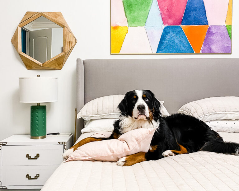 The Best Ways to Keep Your House Clean With Dogs