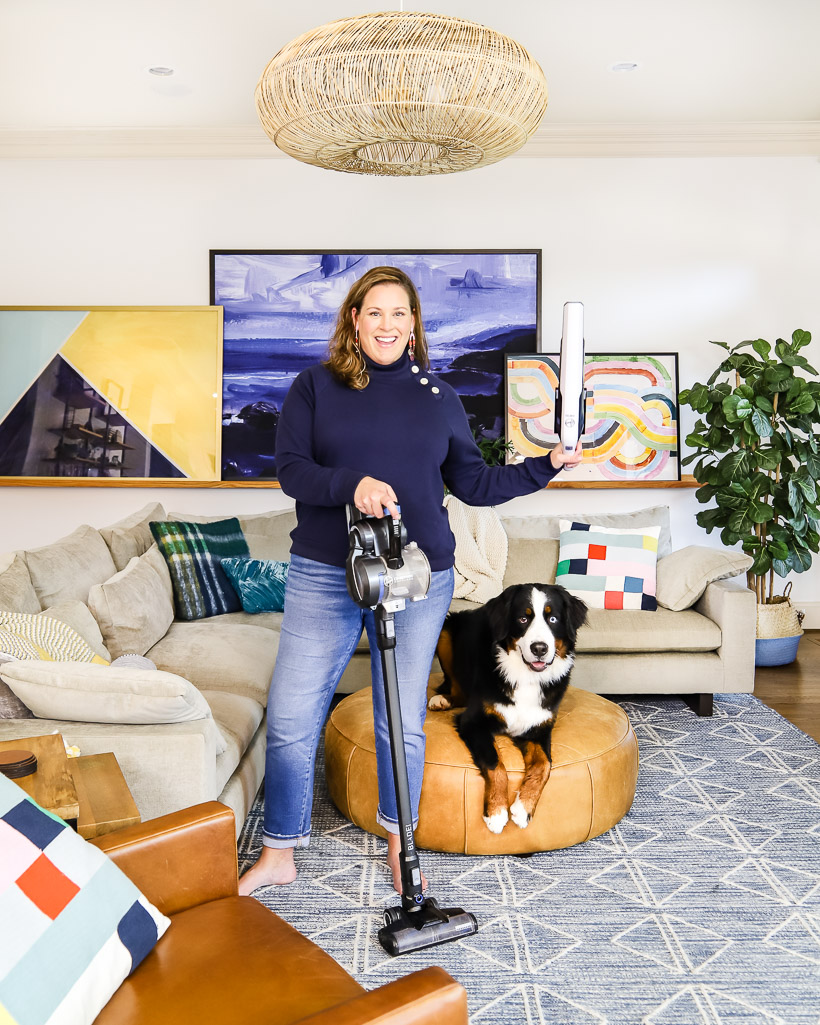 woman with vacuum cleaner beside Bernese Mountain Dog