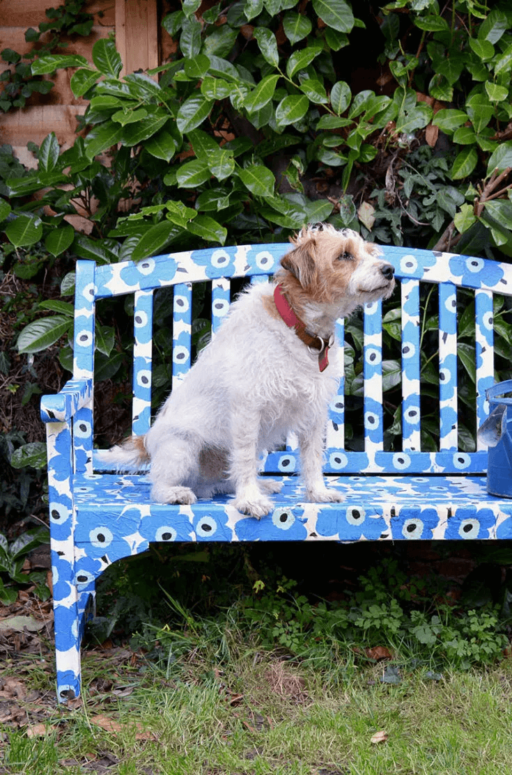  dog on blue decoupaged garden bench with Marimekko design