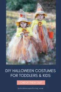 DIY halloween costumes