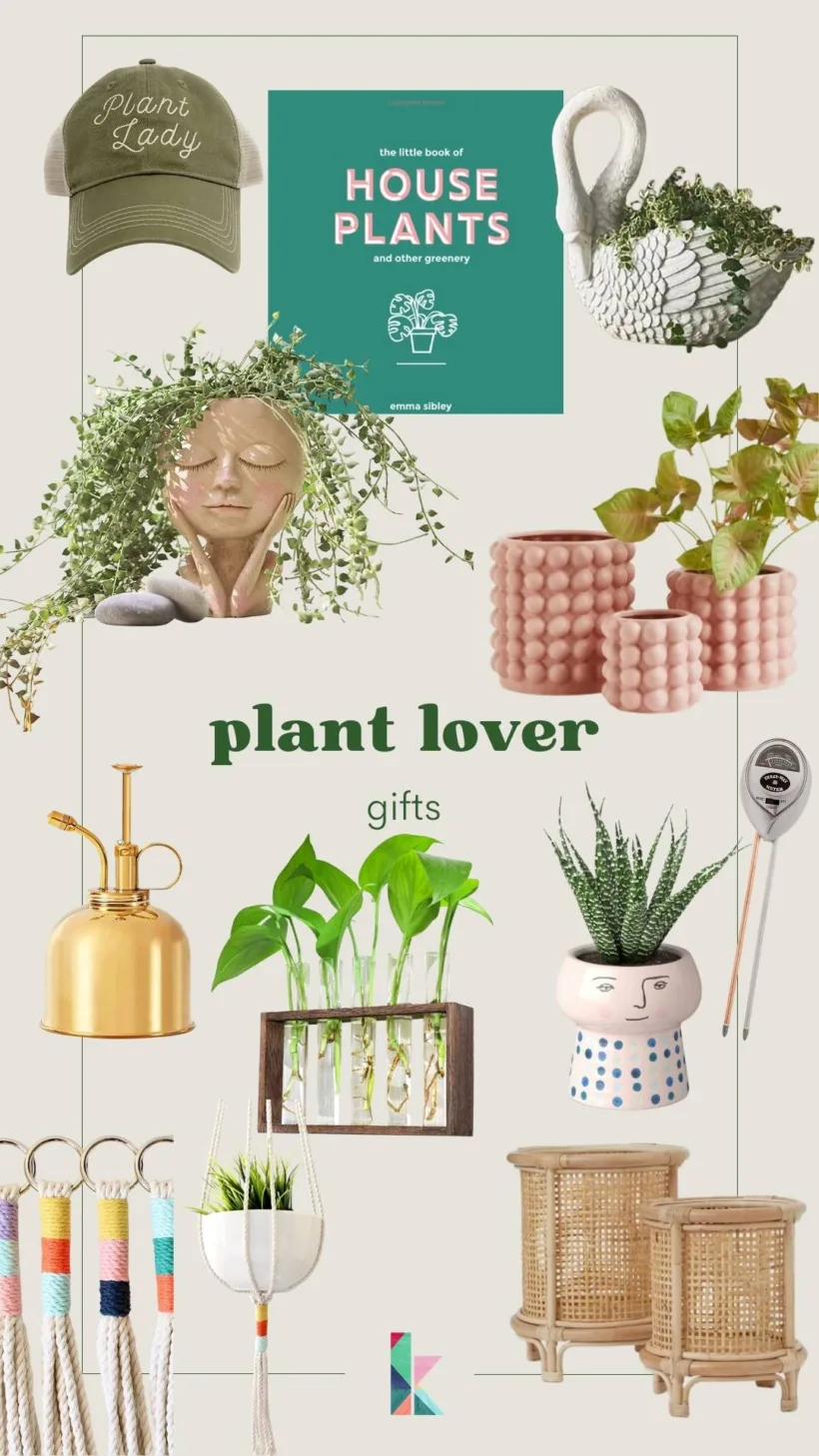 the best gifts for plant lovers for 2022