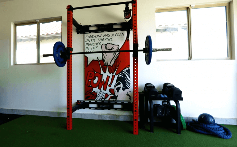 artificial turf used as garage flooring in home gym