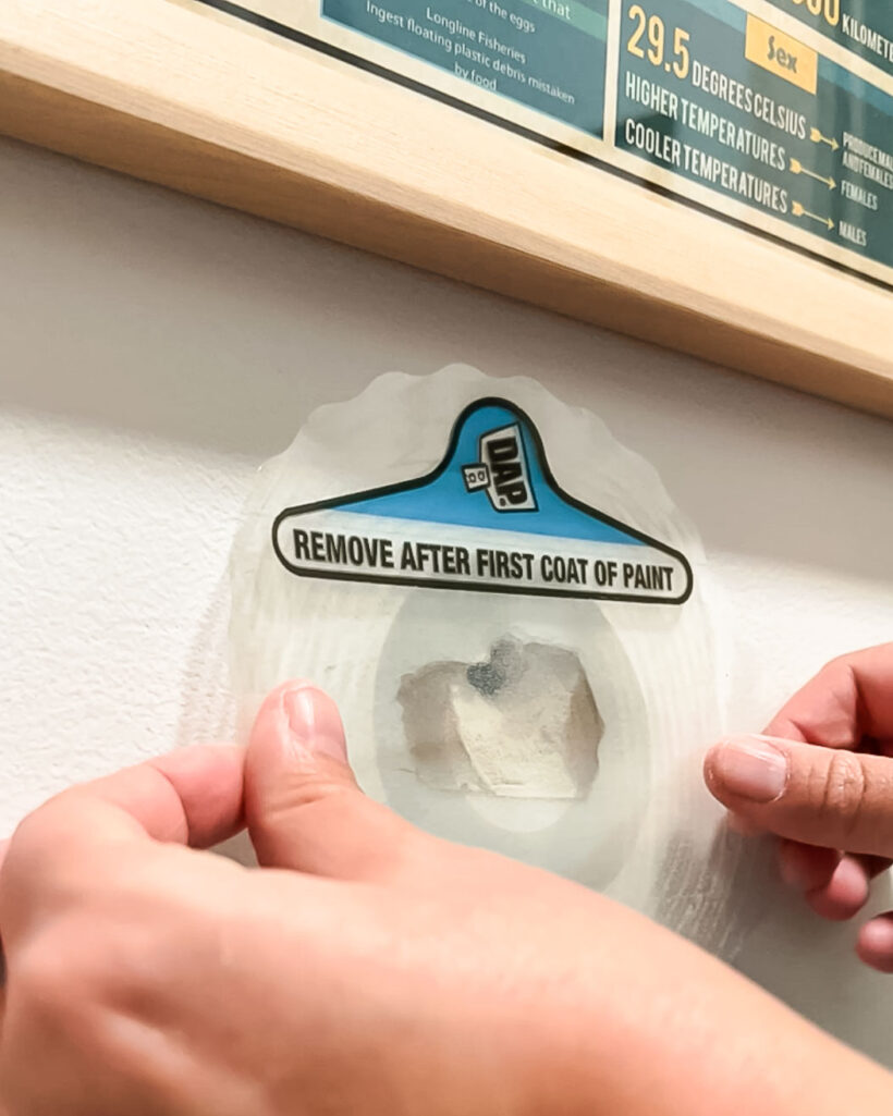 woman applying DAP Eclipse patch over hole in drywall