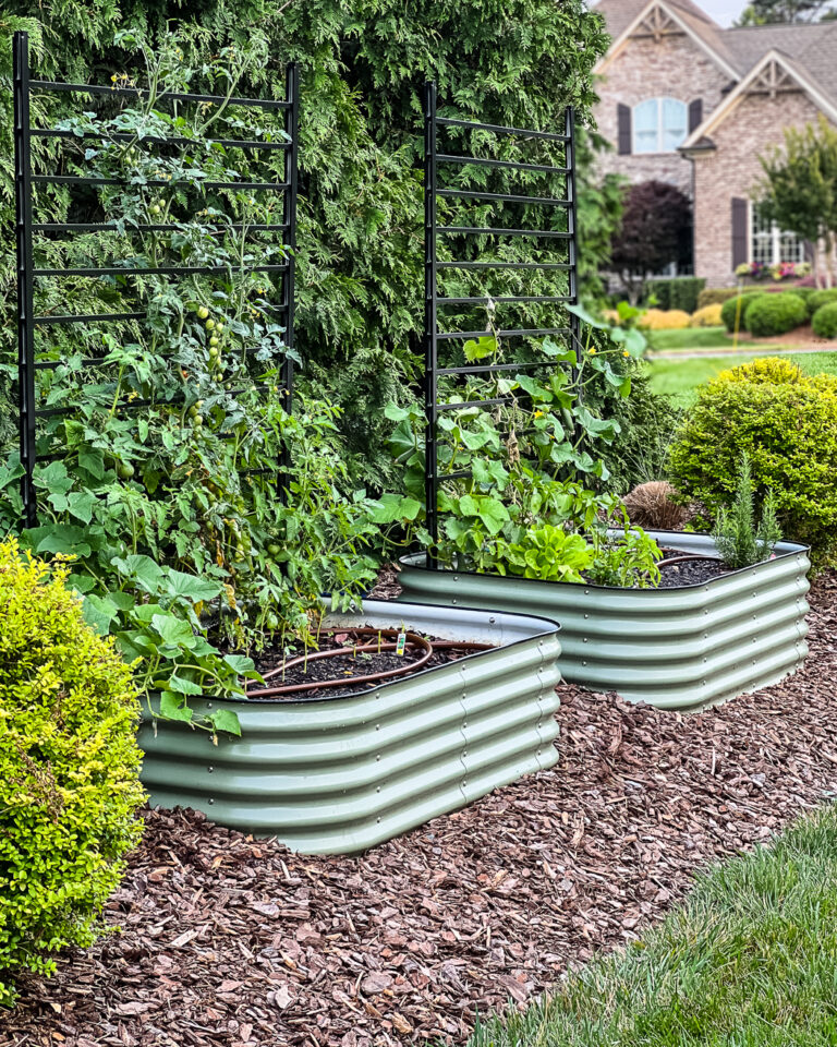 A Complete Review of Vego Garden Beds: Pros, Cons, and Everything In-between