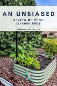 image of Vego garden beds in residential yard with text overlay "unbiased review of Vego garden beds"