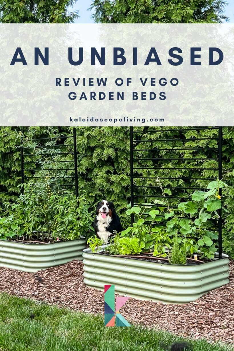 A Complete Review of Vego Garden Beds: Pros, Cons, and Everything In-between