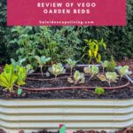 image of Vego garden beds in residential yard with text overlay "unbiased review of Vego garden beds"