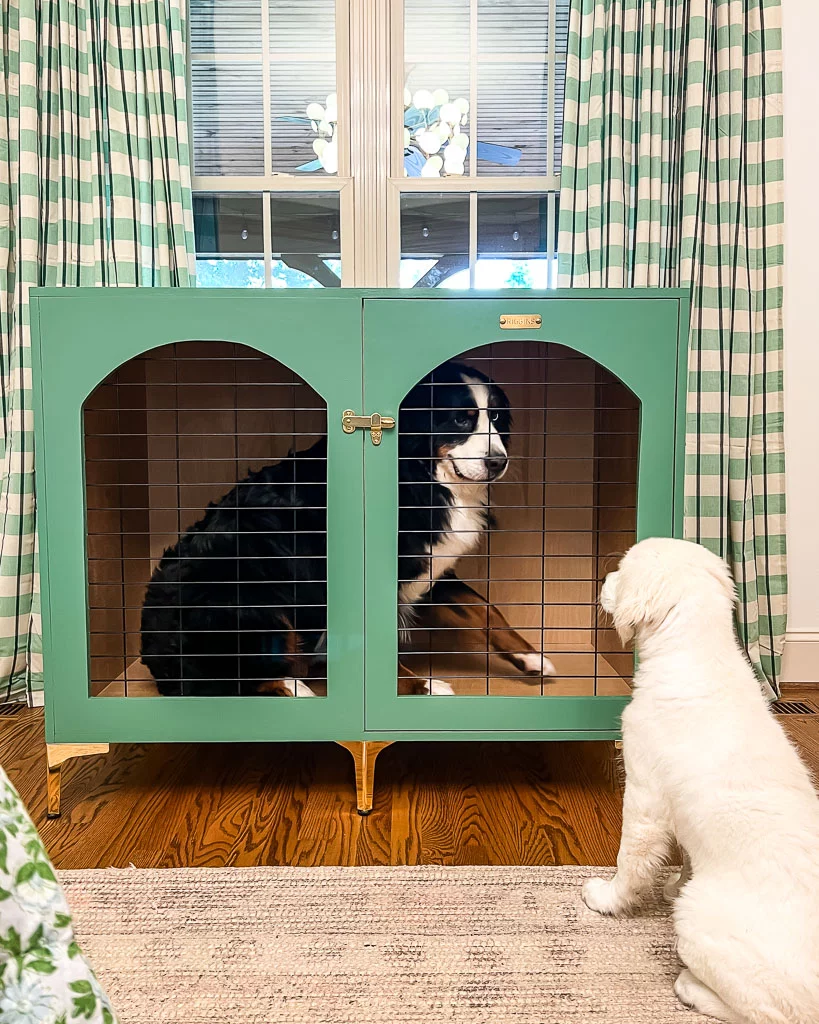 Diy aluminum dog crate hotsell