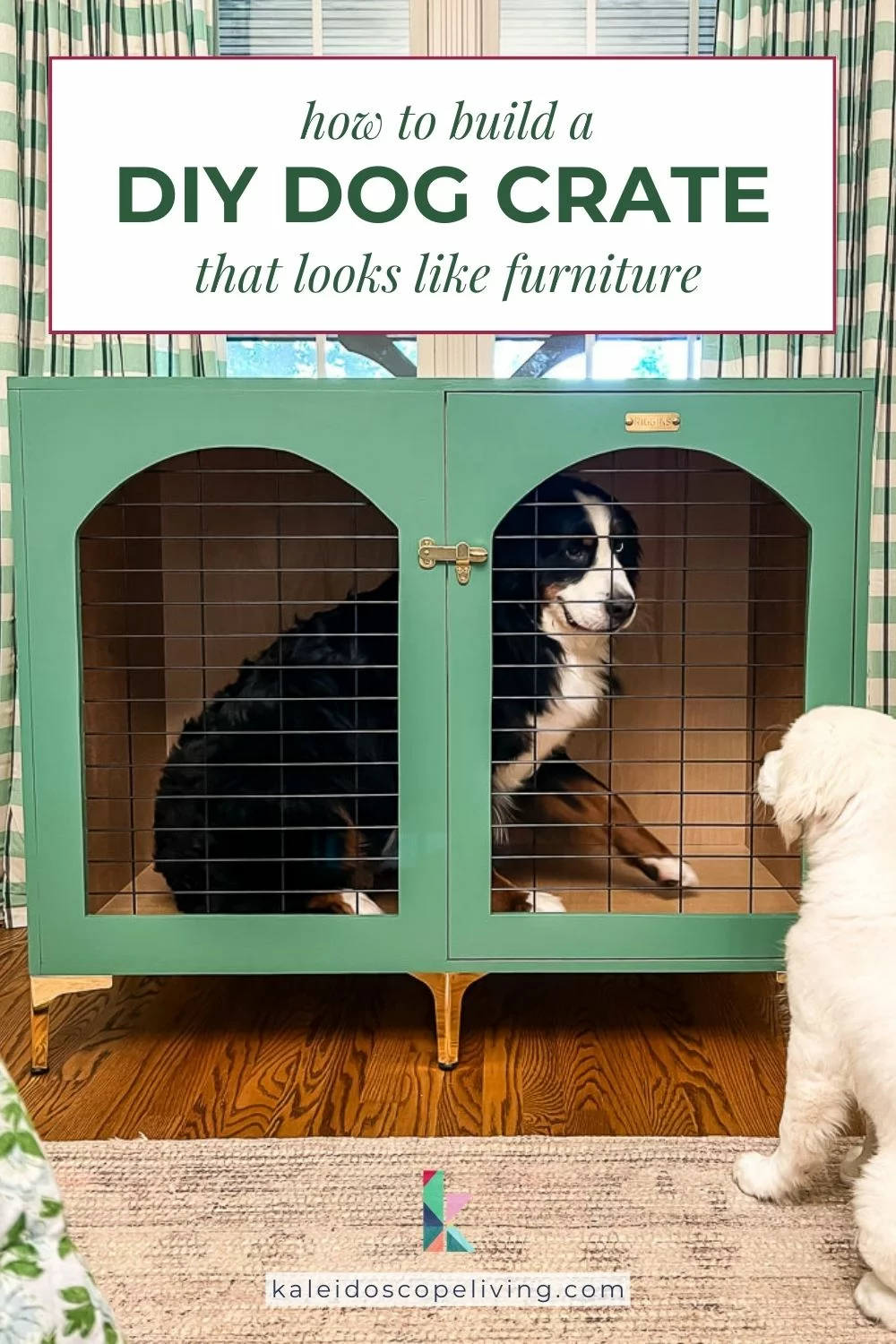 Bernese Mountain Dog inside a DIY wood dog crate painted green with brass accents