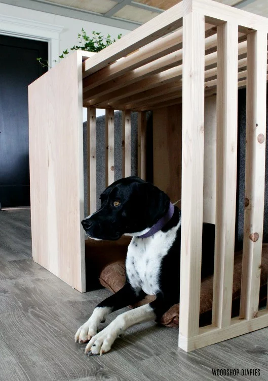 modern wooden dog crate with unique sliding door