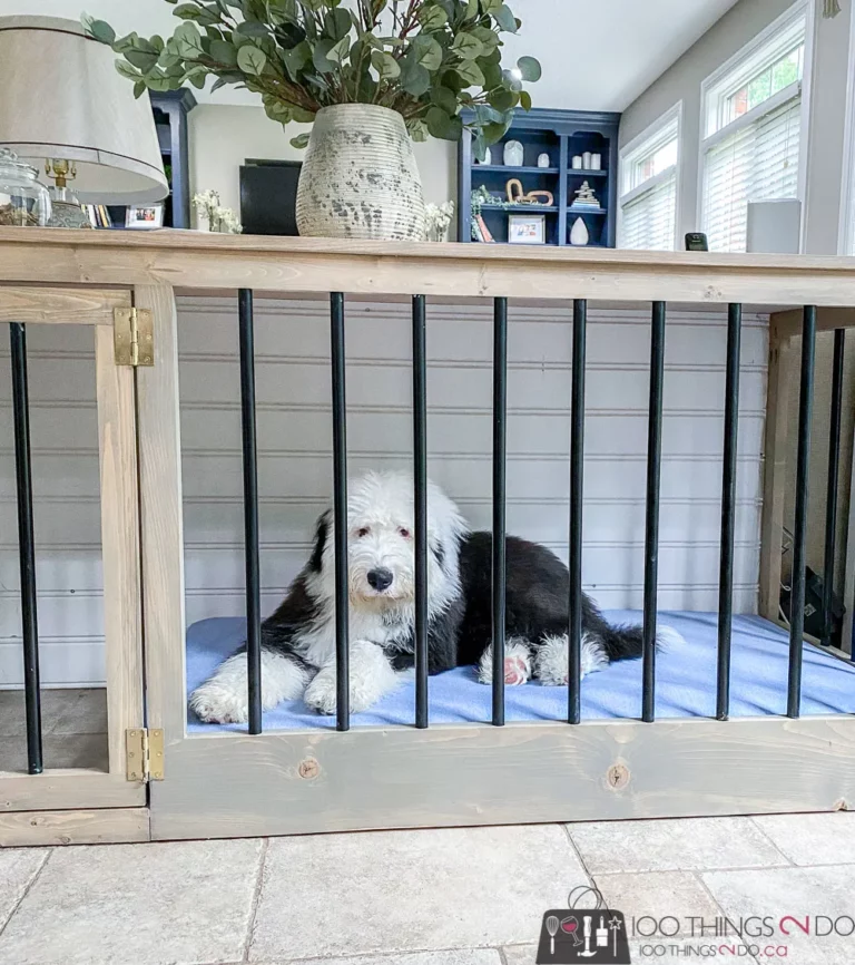 diy dog crate that doubles as a sofa table