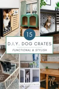 collage of images of DIY dog crate ideas