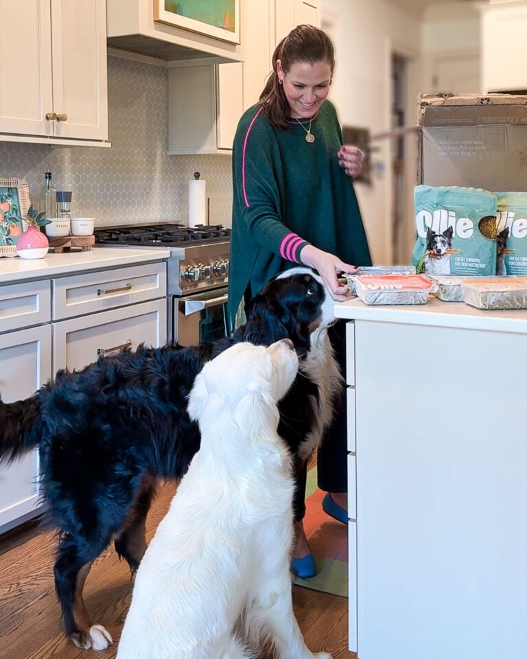 Tasha Agruso in kitchen with two dogs and Ollie dog food