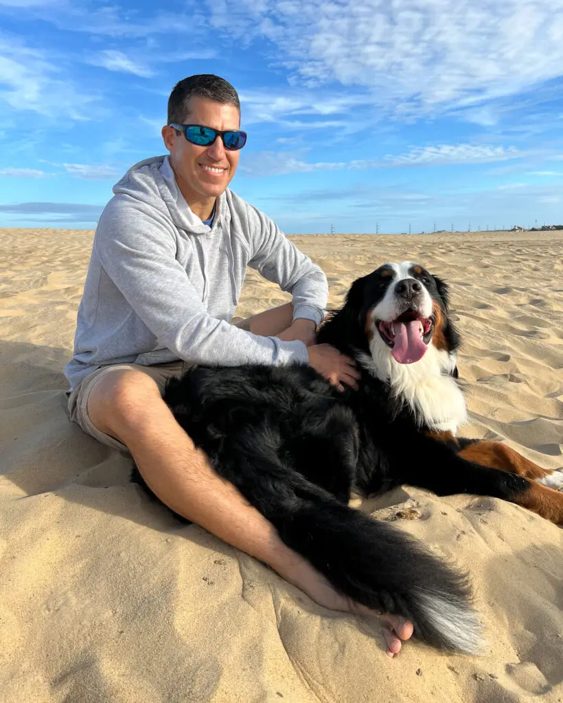 man on beach with Bernese Mountain Dog