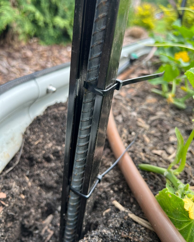 photo of black zip tie securing metal fence panel to rebar during construction of modern DIY garden trellis