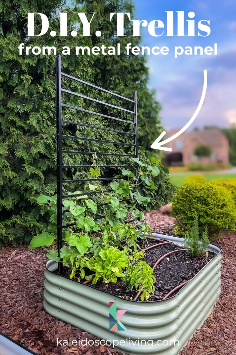photo of a Vego garden bed with a modern, black trellis with text overlay that reads "DIY Trellis from a metal fence panel"