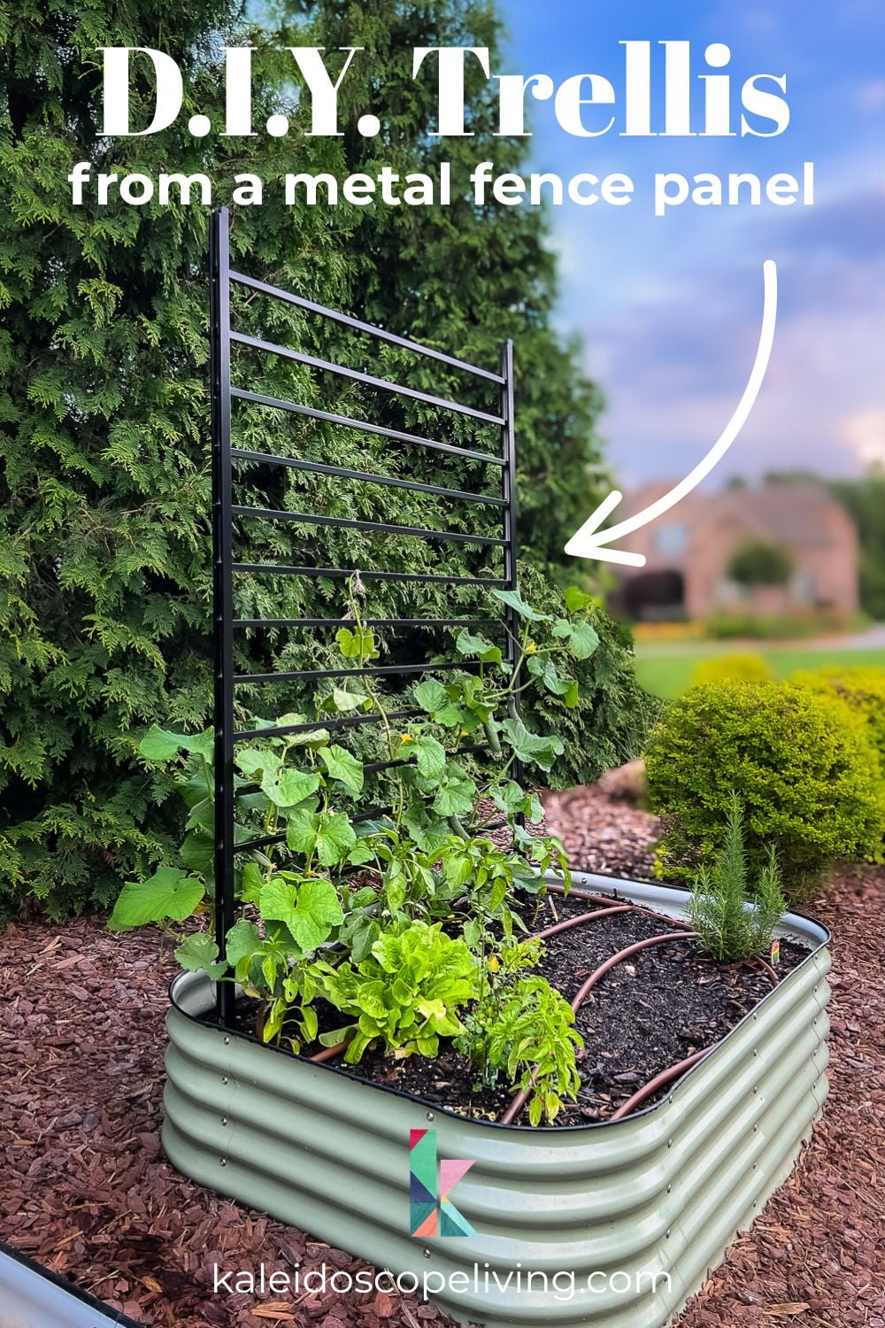 modern-diy-garden-trellis